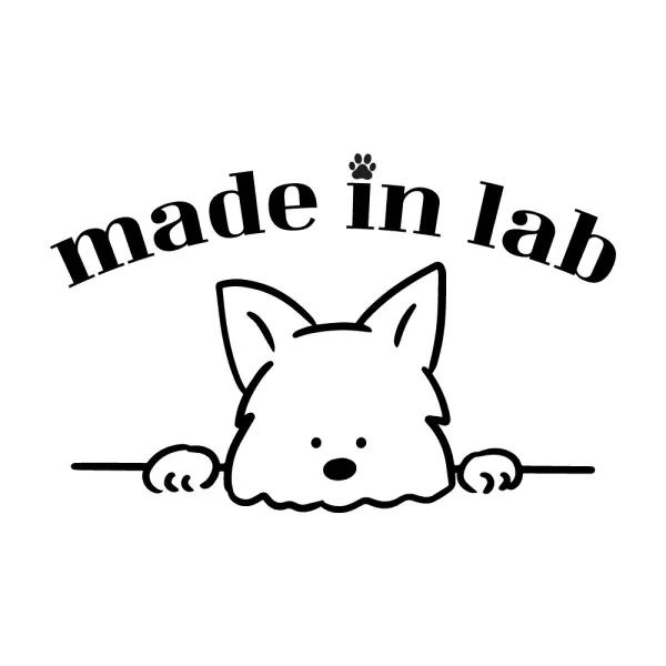Madeinlab madeinlab