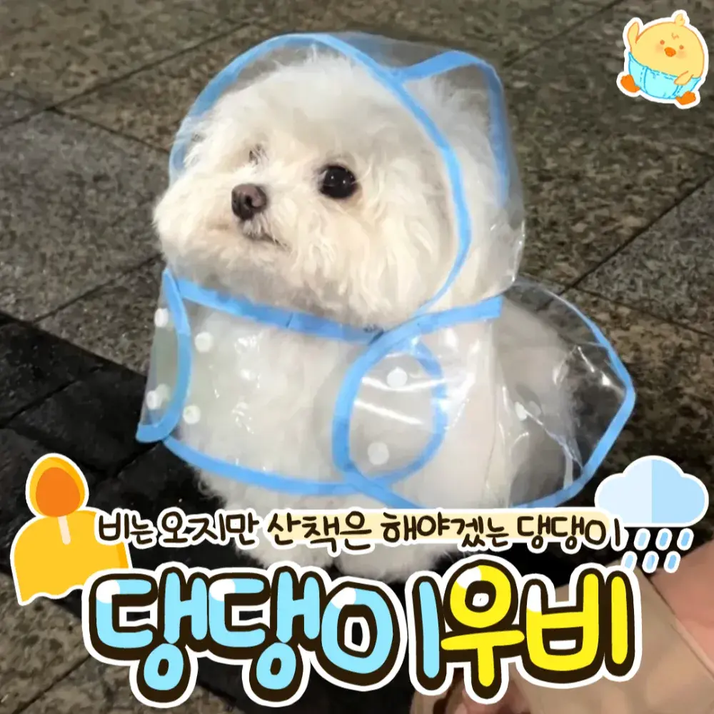 ☔댕댕이우비☔