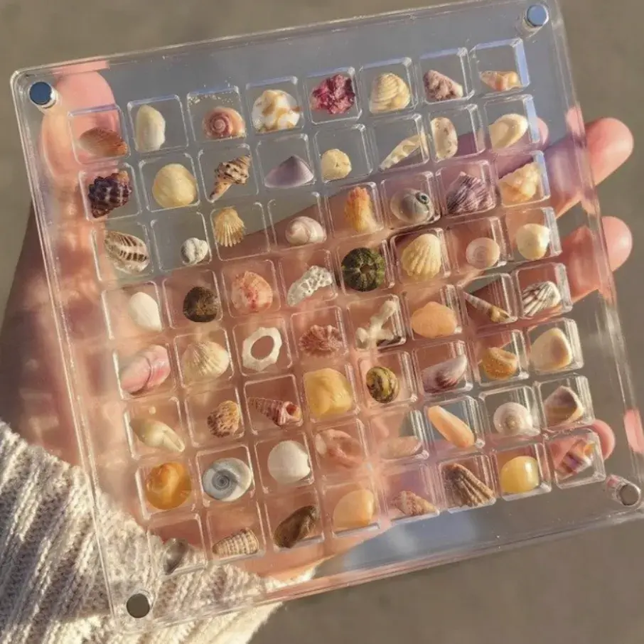 🌊조개껍질보관함🌊