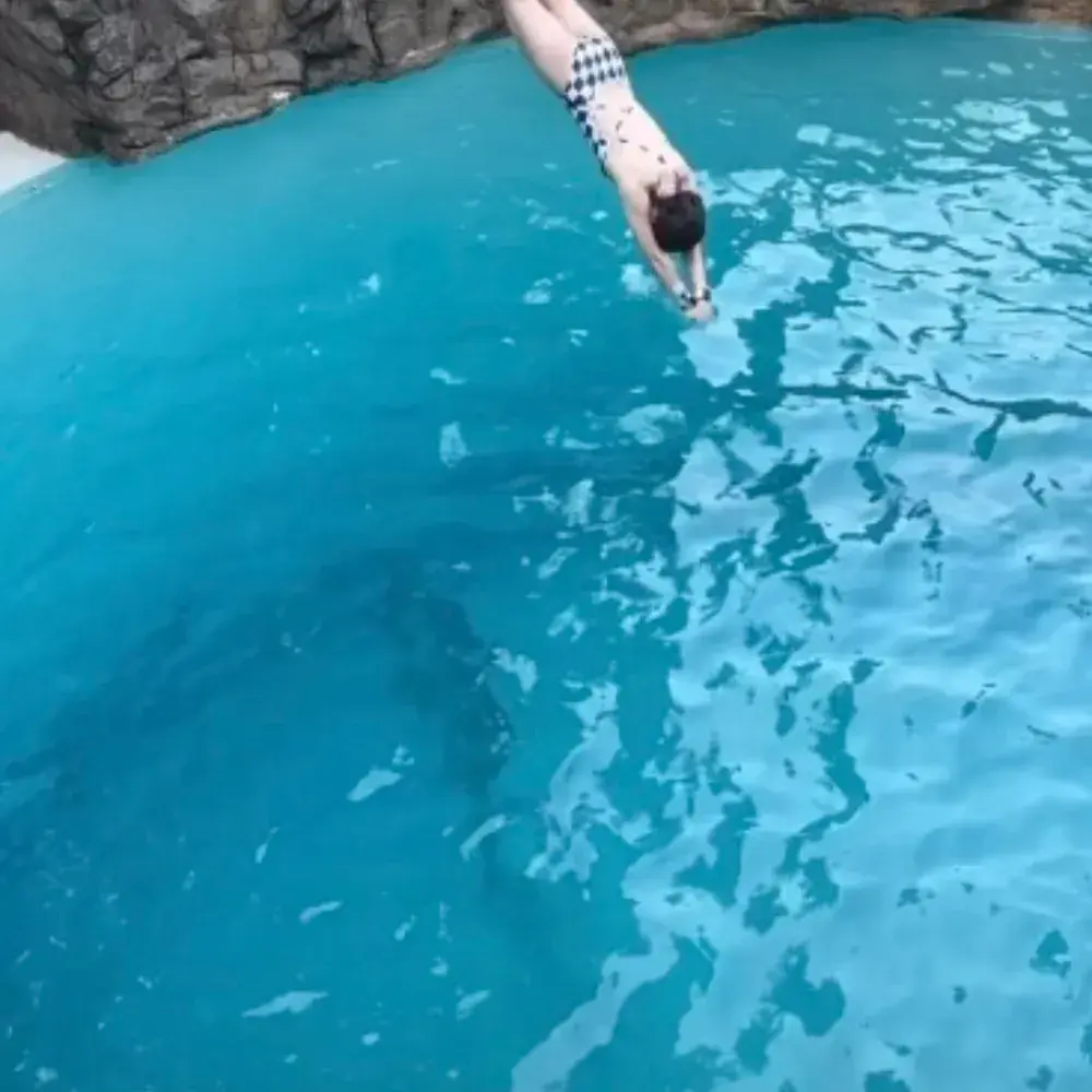 캐리비안베이 다이빙풀 꿀팁