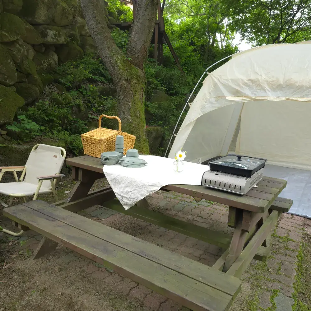 농장피크닉 E-zone