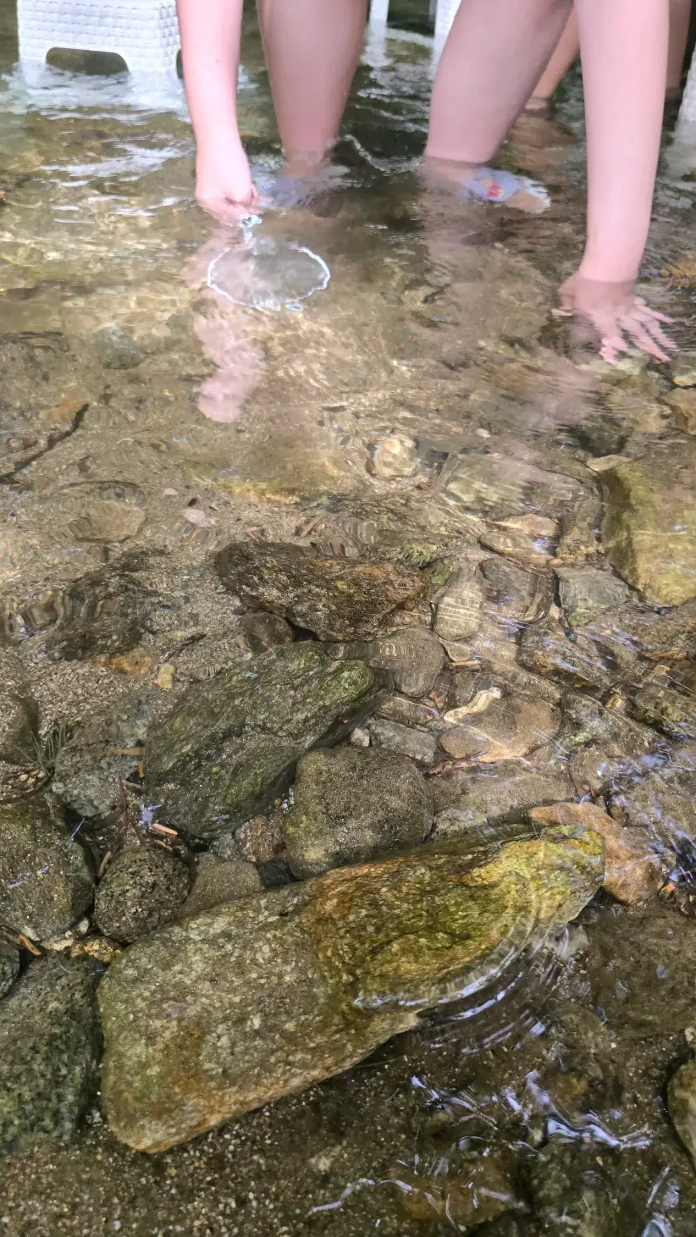 계곡송사리잡기