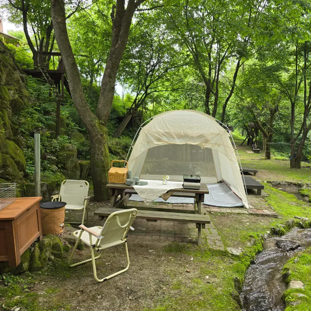 농장피크닉 D-zone