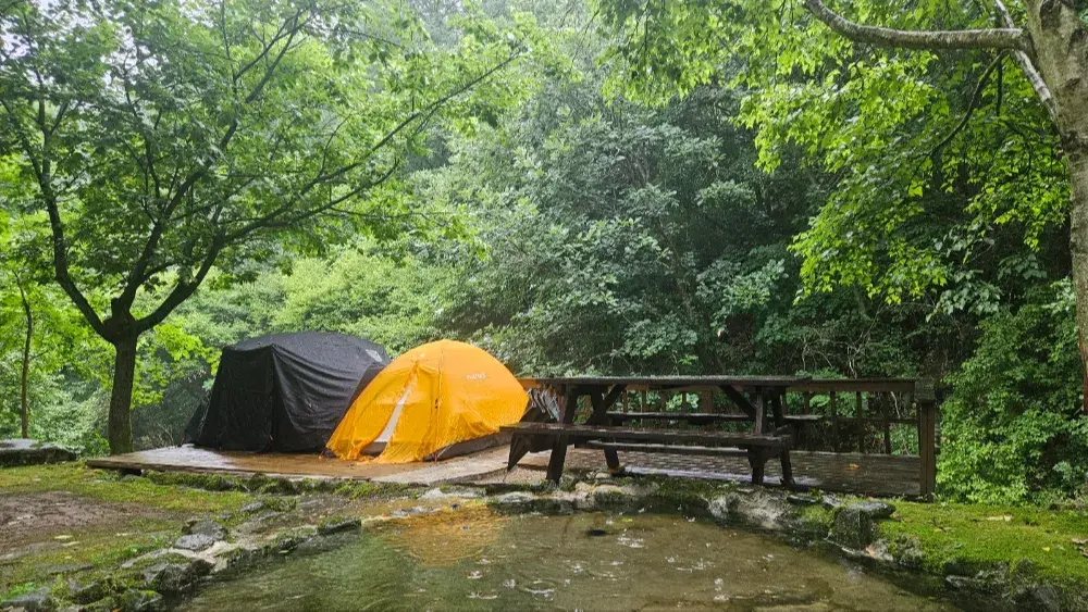 농장피크닉 D-zone