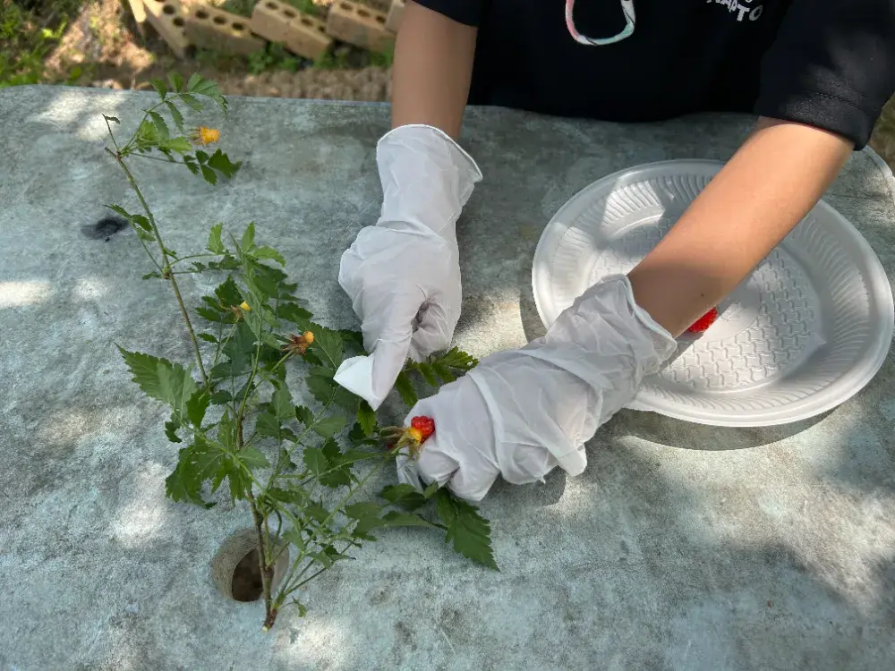 감각추구&감각회피 대안놀이