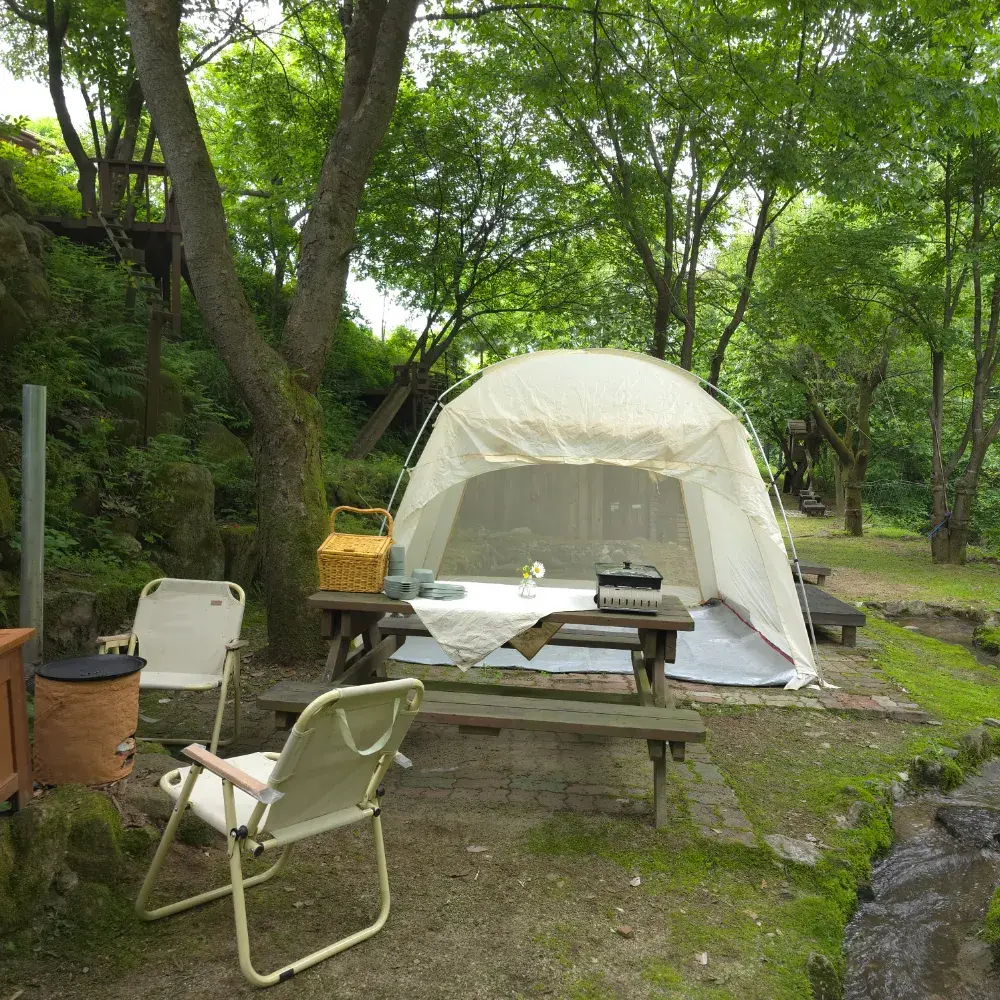 자연과하루 농장 피크닉 E-Zone