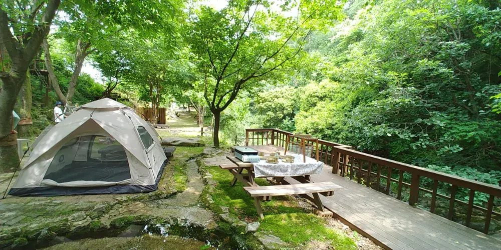 농장피크닉 D 존