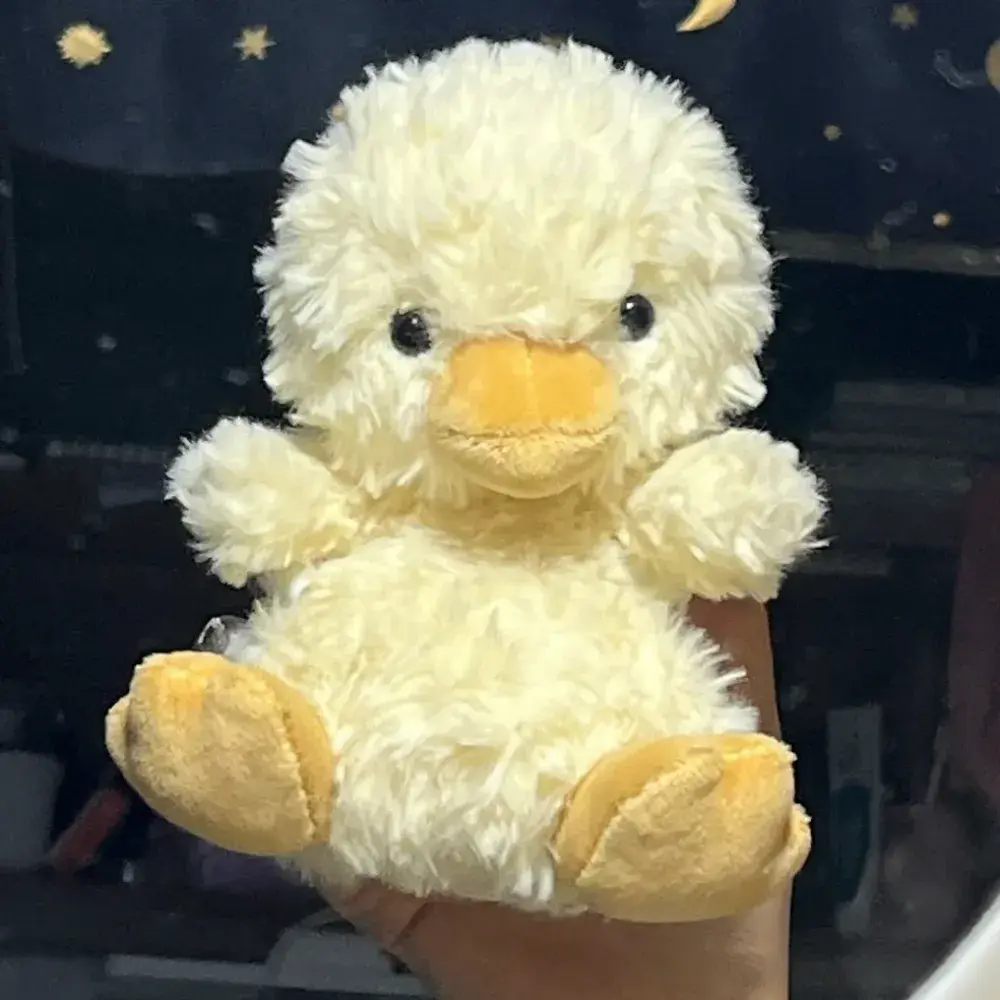 🐤아기오리인형🐤