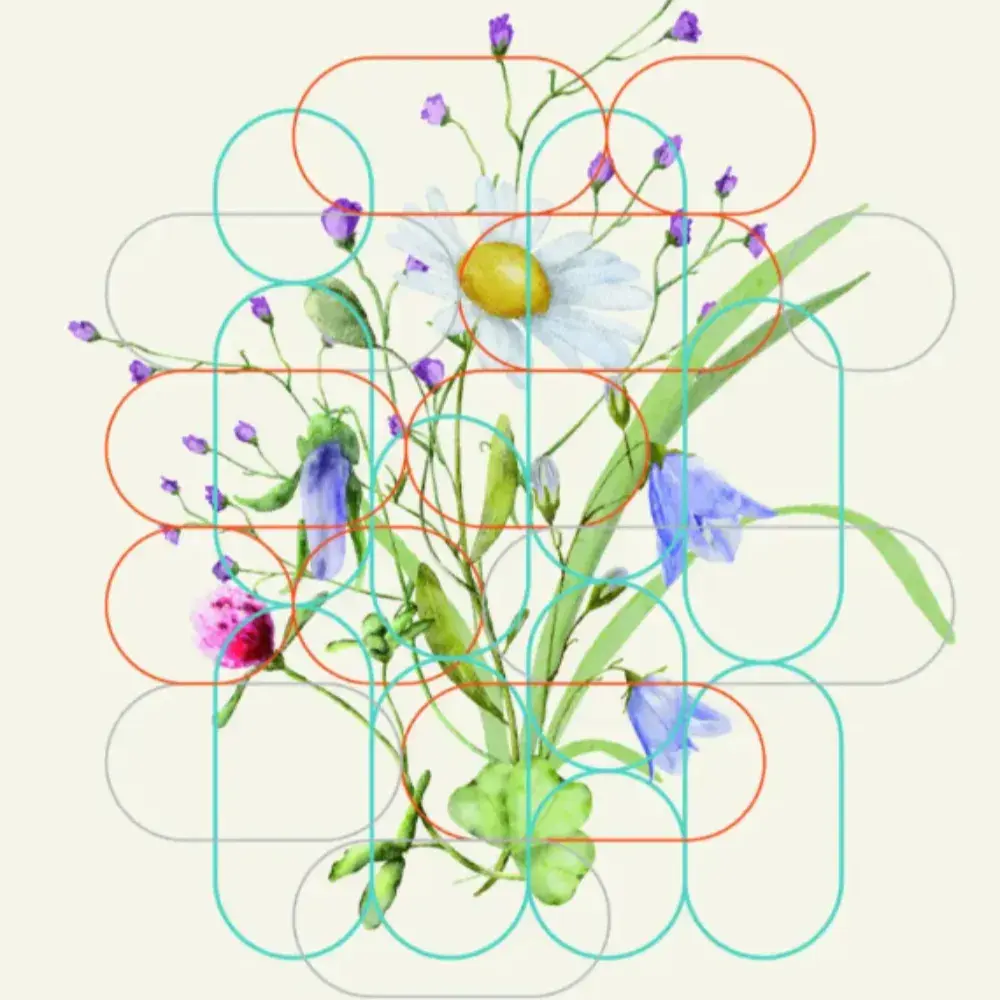 2025 실전개념서 디올 [생2]