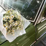 images/2024/8/19/2024-8-19-1724078856662.webp