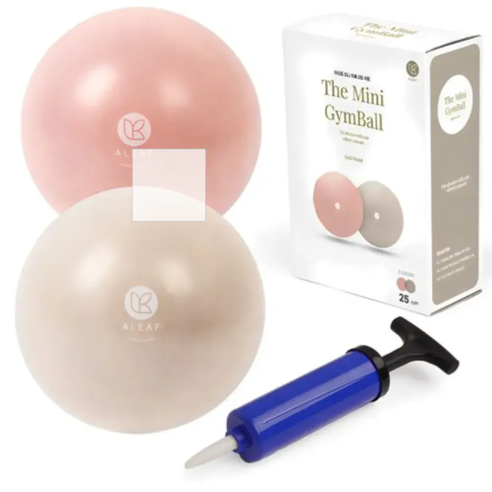 미니볼 2종세트 (25cm)