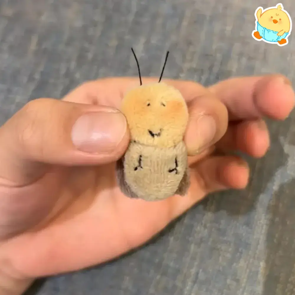 🪳아기바퀴인형 🪳