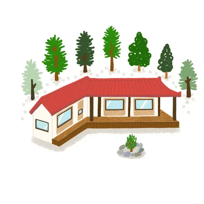 강릉초이 오픈채팅