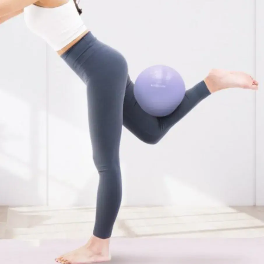 미니볼 20cm 라벤더아이스 (이고진)