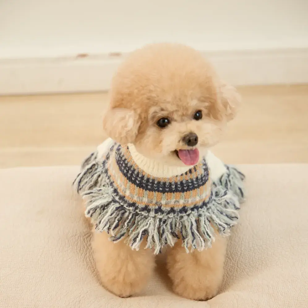 2025년 1월 출석체크