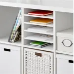 images/2025/1/12/2025-1-12-1736659897439.webp