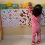images/2025/1/17/2025-1-17-1737083984835.webp
