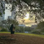 images/2025/1/17/2025-1-17-1737090515320.webp