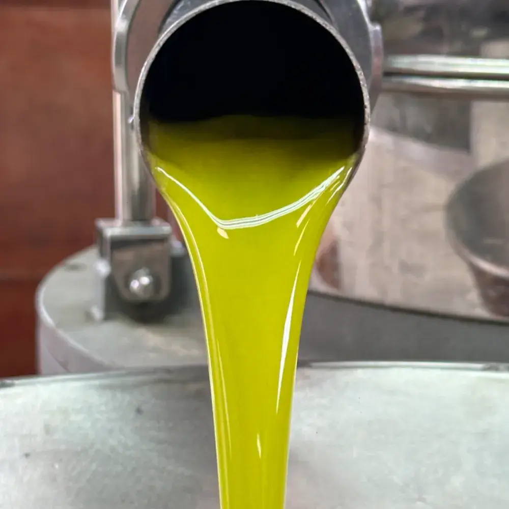 2025년 햇오일 주문서(상시판매)