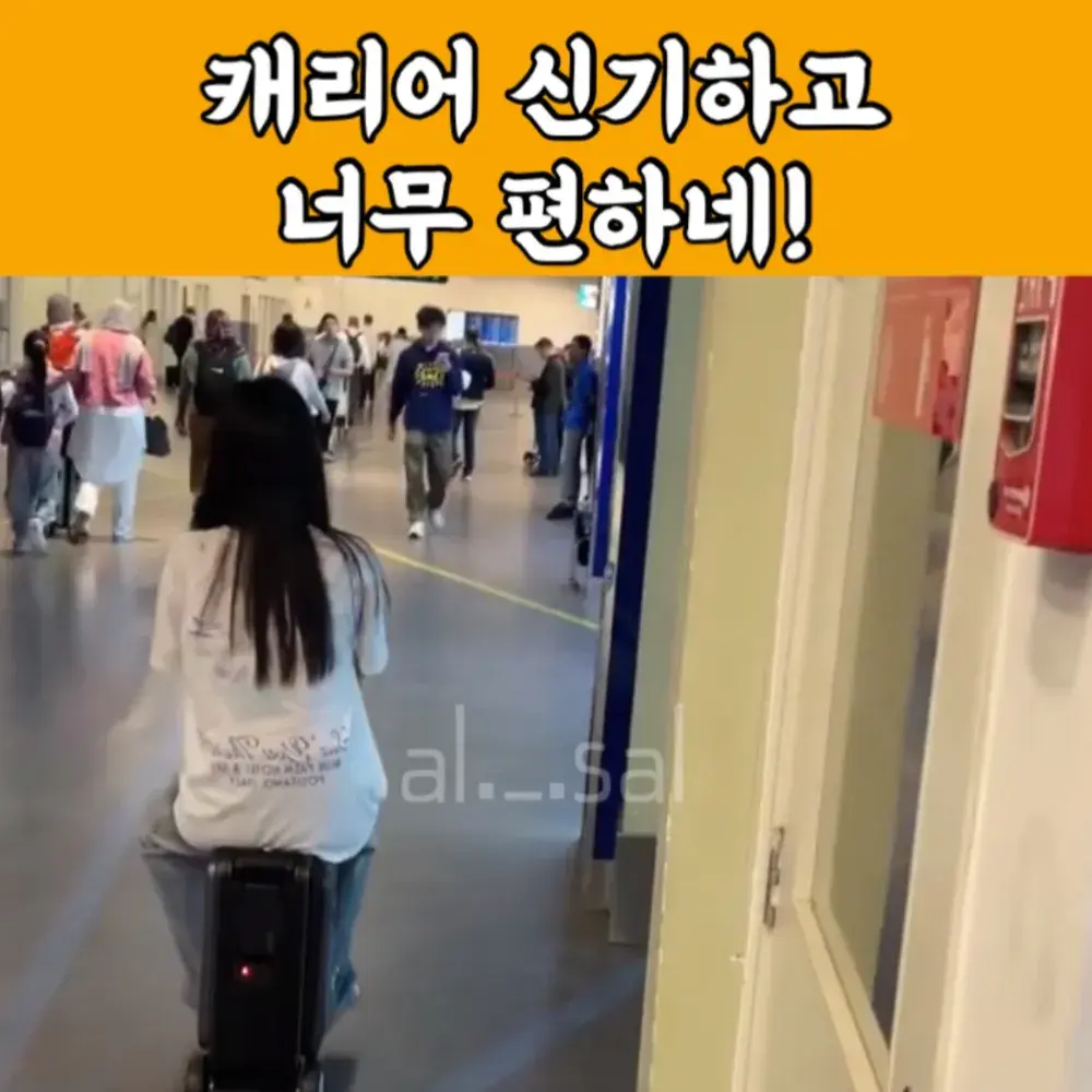 115번-전동 캐리어