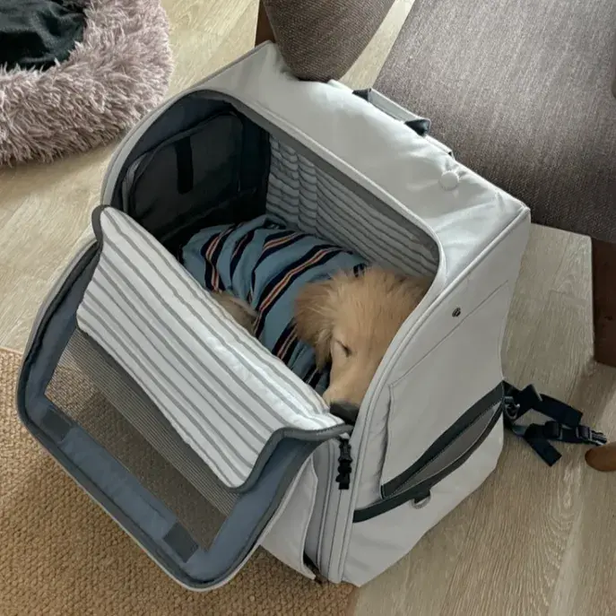 14키로 우니도 들어가는 눕눕백 (사실 보니용)