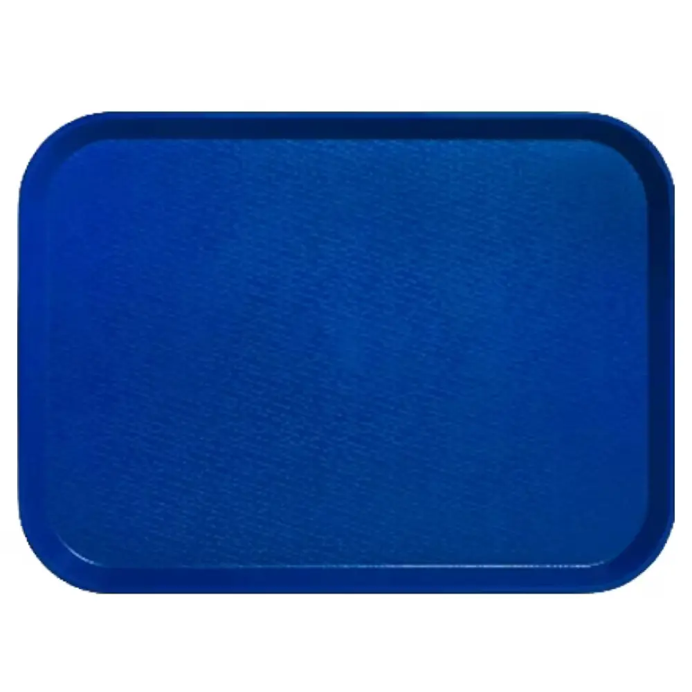 1299 컬러 트레이 일반형, 아마존 블루, 2호
