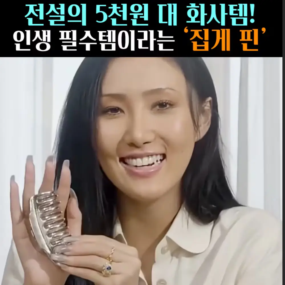 🧚#369. 화사 전설의 ‘집게 핀’