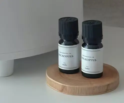 [OPEN] 유칼립투스오일