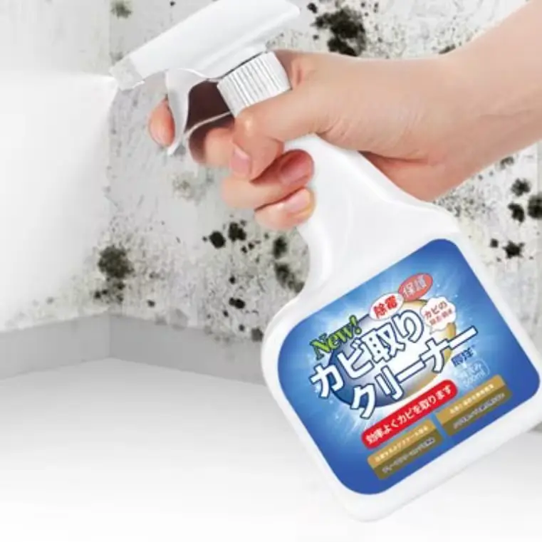 250번. 곰팡이 제거제