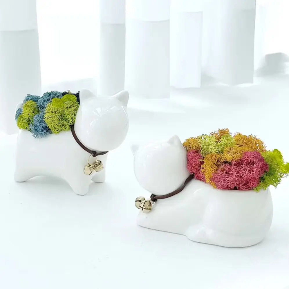 1395 꽃순이 스칸디아모스 인테리어소품 공기정화식물