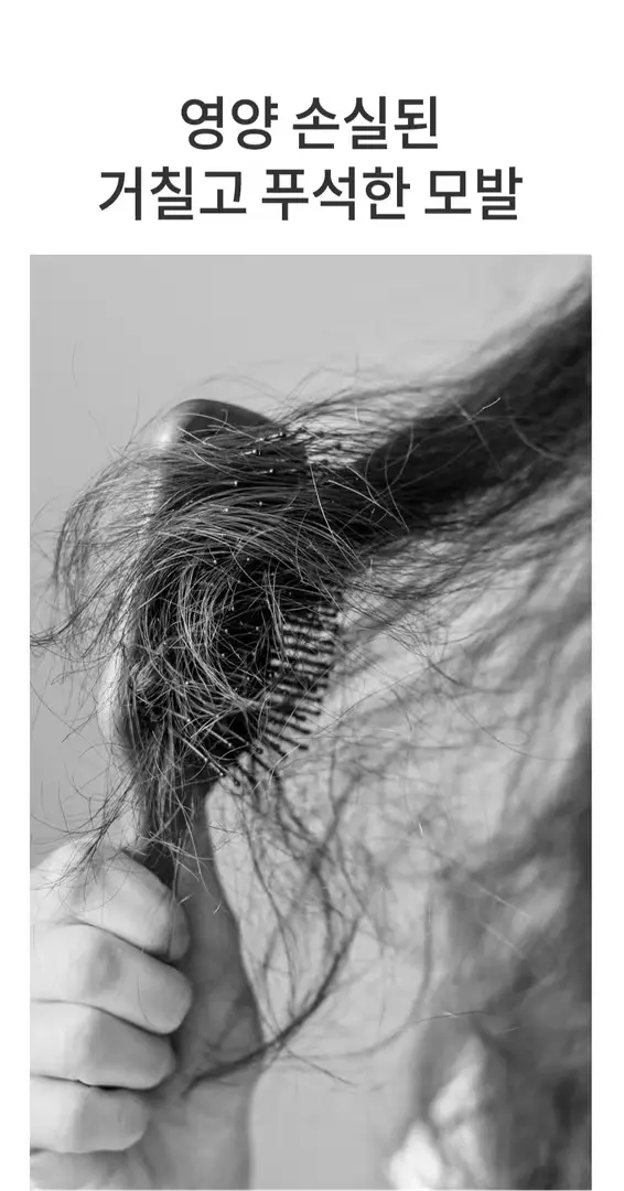 비건트리트먼트 손상모 두피 집중케어 500mlx3개