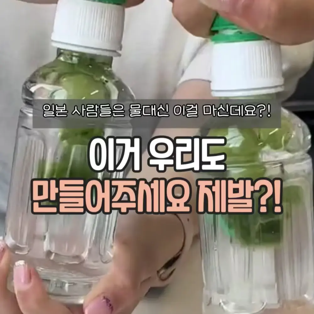 말차러브 일본녹차