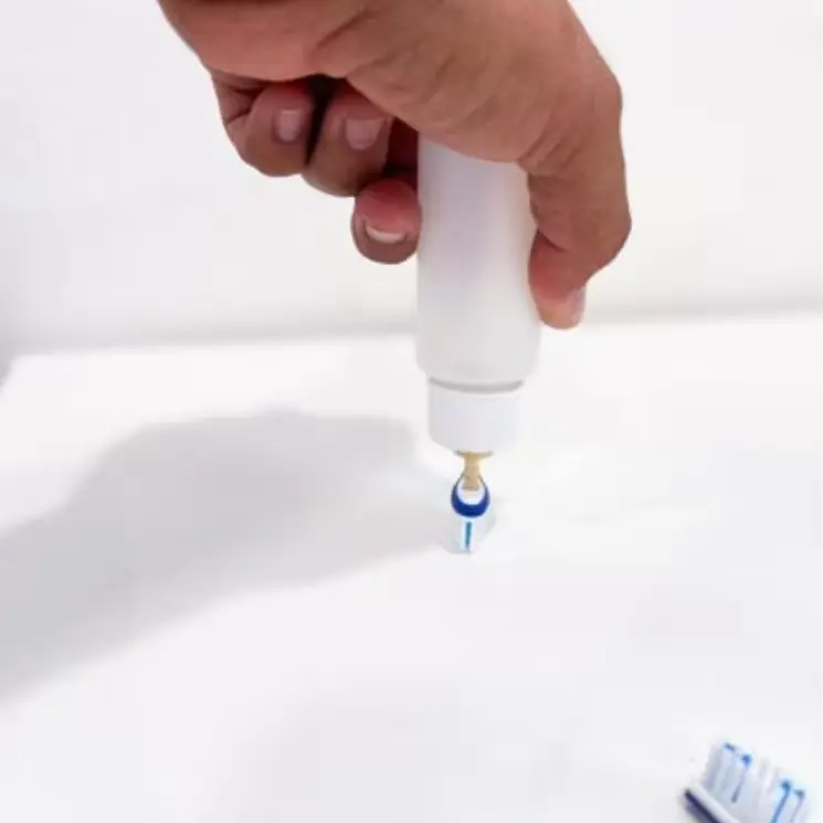 255번. 줄눈 도포기