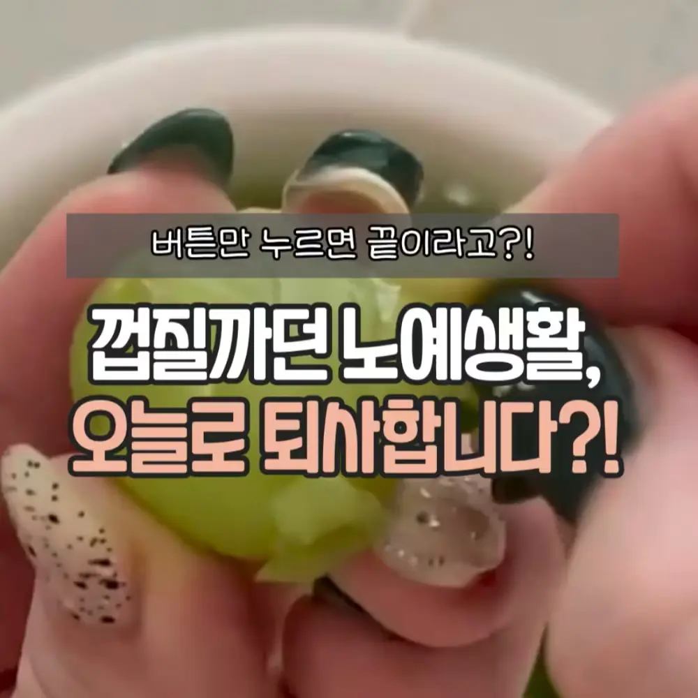 전동 과일 껍질제거기