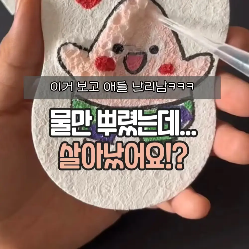 압축 스펀지 수세미