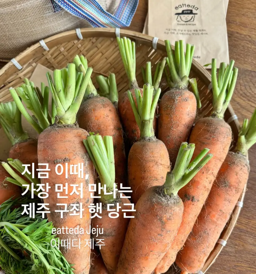 2025년,제주 구좌 햇 당근 1/5(월) 발송