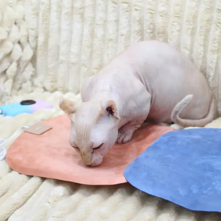 032.
아이리버 전기방석 휴대용 원적외선 엉뜨 USB 온열 1인용