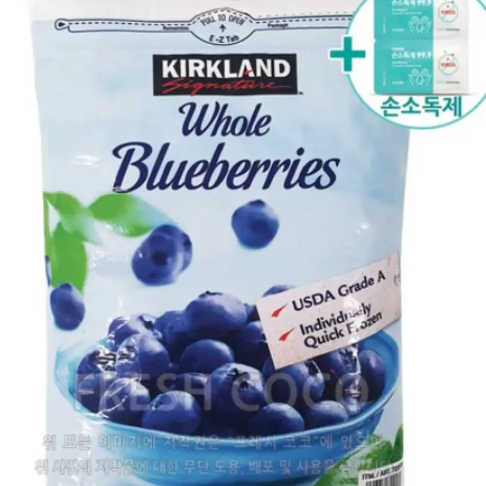 냉동 와일드 블루베리