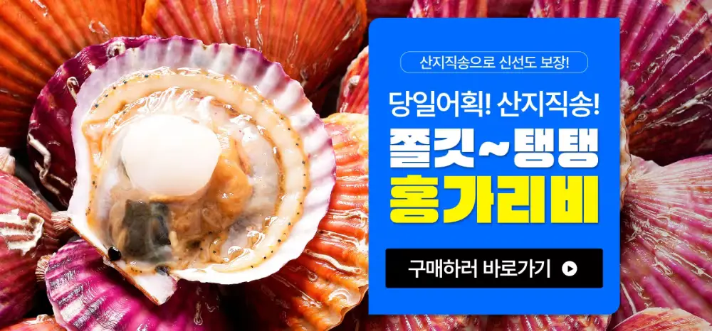 🚚통영 산지직송🚚 제철 홍가리비❤
