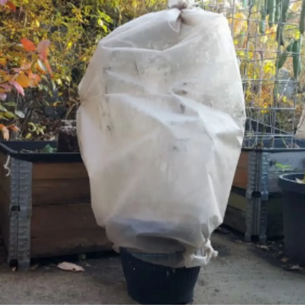 🟡267번 월동보호대 보온덮개