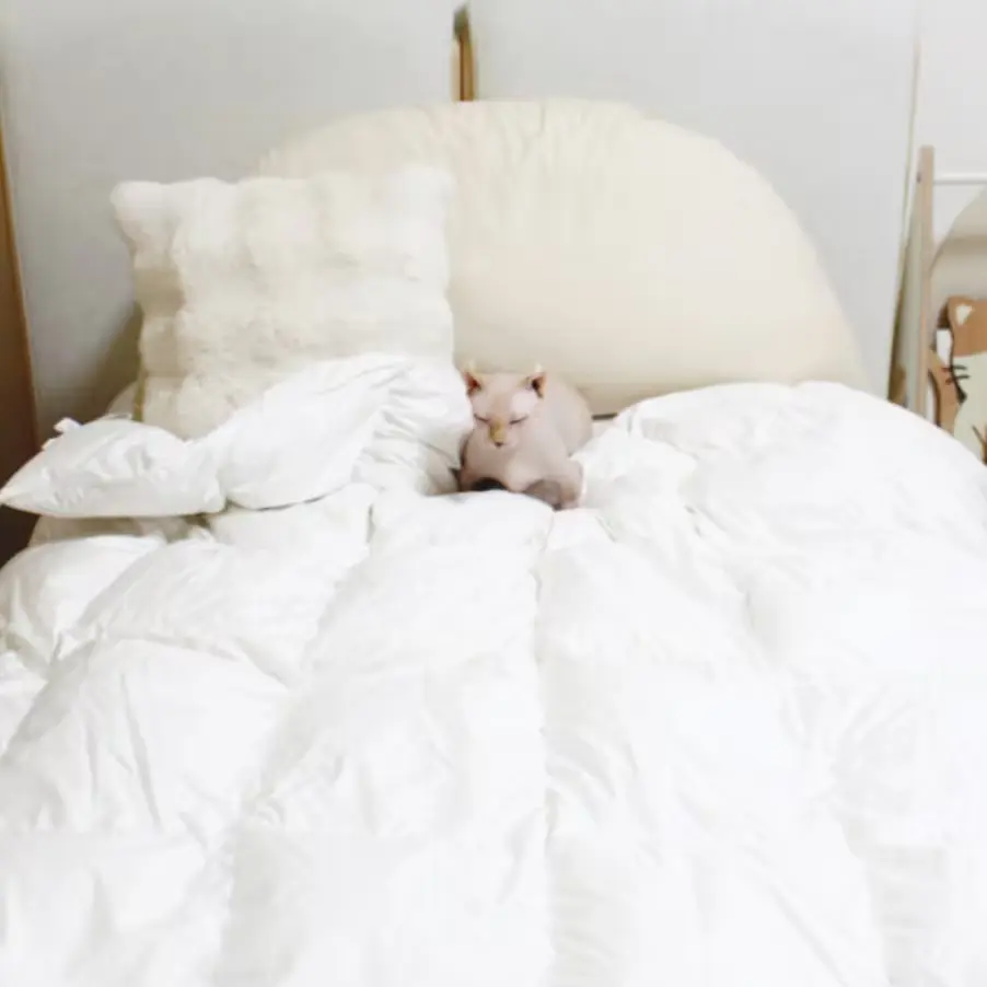 012.
클래식패브릭 헝가리 구스이불솜 솜털 거위털이불 화이트 겨울 SS650g