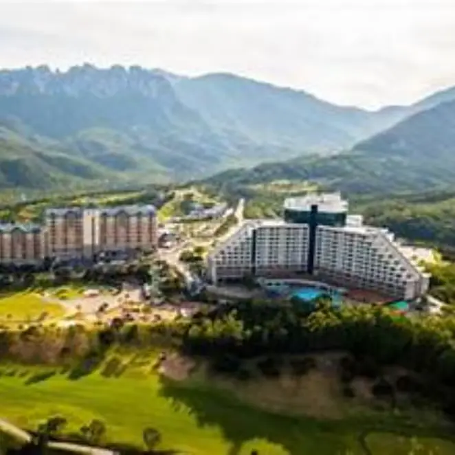 제이드아이 x 델피노 리조트 C/S 문의