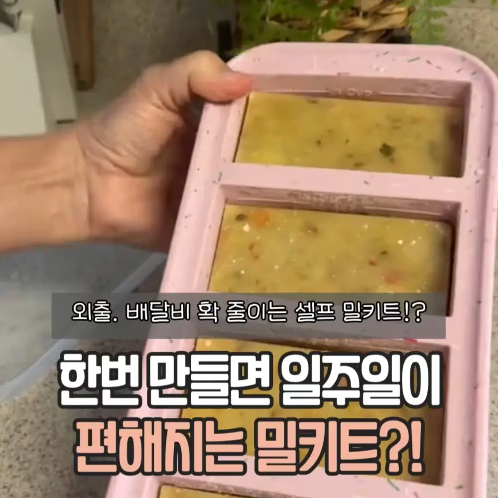 실리콘 밀키트 틀