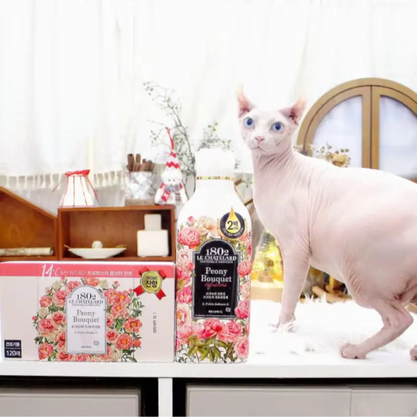 052.
르샤트라 섬유유연제·건조기시트가 만들어준 세탁 향기 루틴