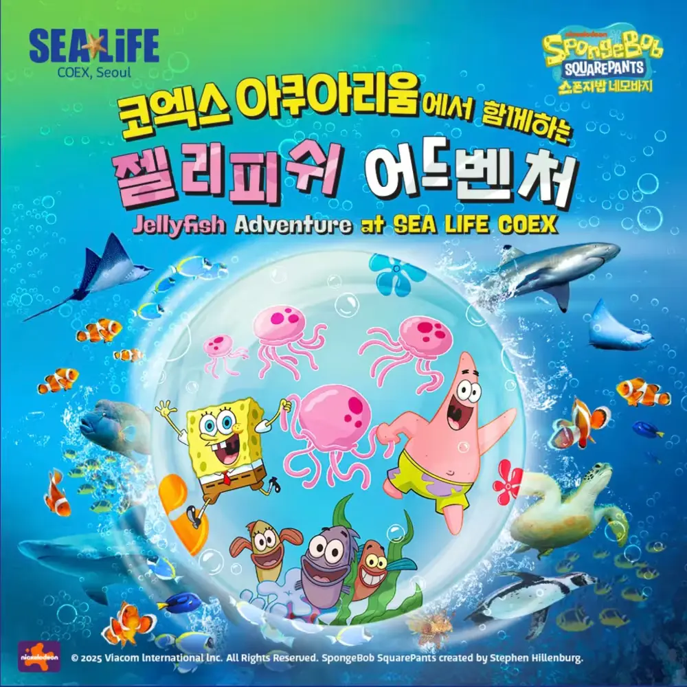 씨라이프 코엑스 아쿠아리움 특가 종료🪼