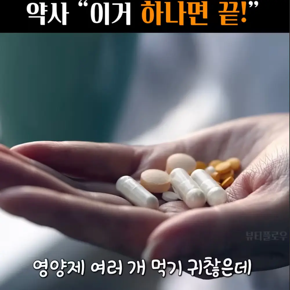 🧚#455. 약사 ‘영양제 하나면 끝!’
