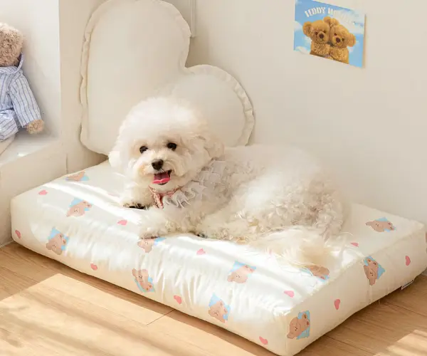 솜쿠션 방석매트