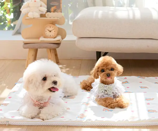 커버분리형 매트