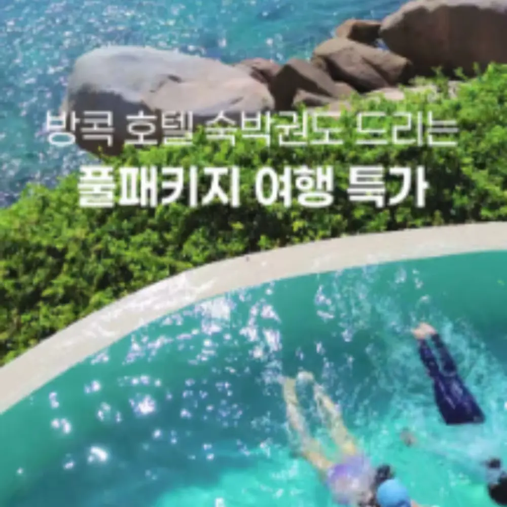 클릭 후 댓글 남겨주시면 특가 안내 나가요 ✨