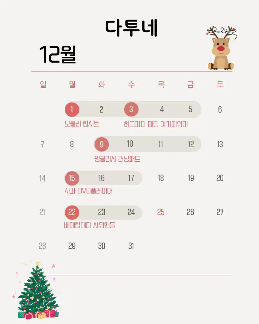 12월 다투네 일정